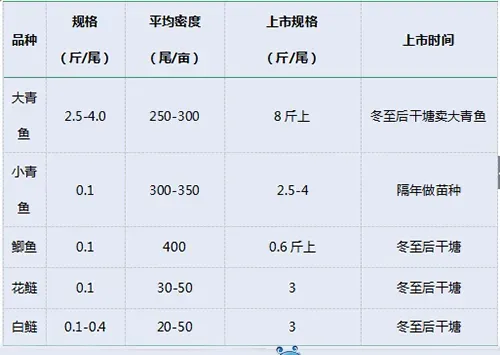 养殖户如何合理选择与投喂青鱼饲料