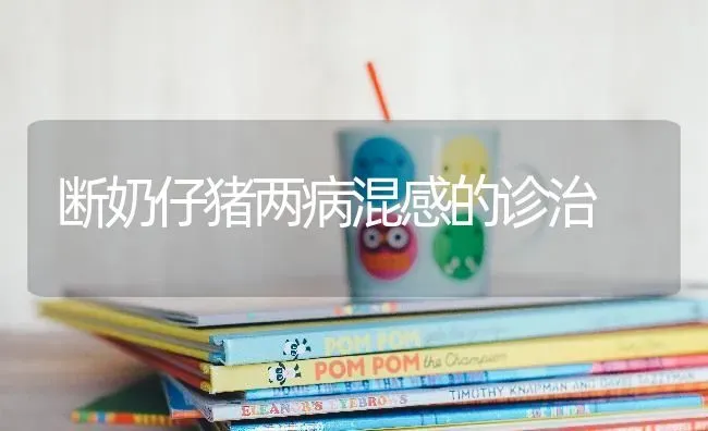 断奶仔猪两病混感的诊治 | 家畜养殖