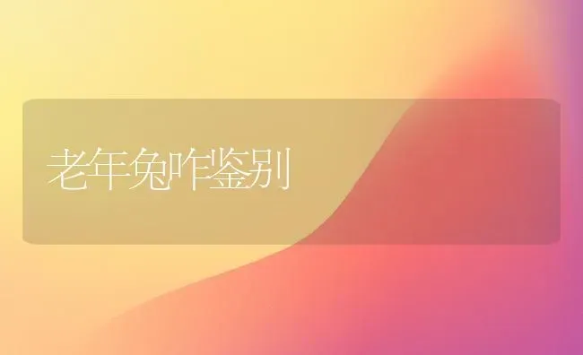 老年兔咋鉴别 | 家畜养殖