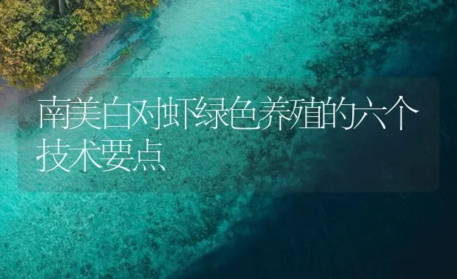 南美白对虾绿色养殖的六个技术要点 | 海水养殖