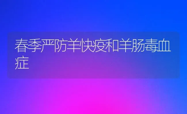 春季严防羊快疫和羊肠毒血症 | 家畜养殖