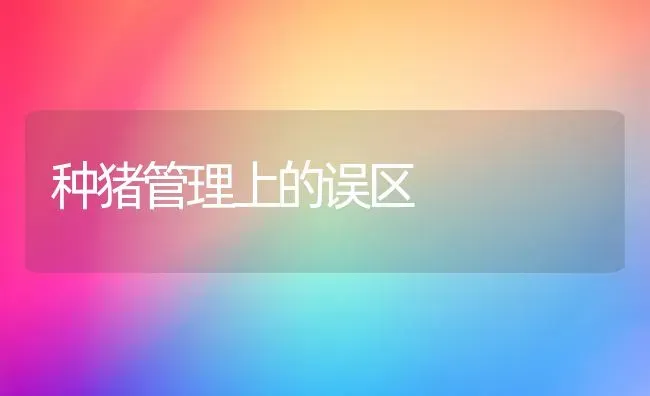 种猪管理上的误区 | 家畜养殖