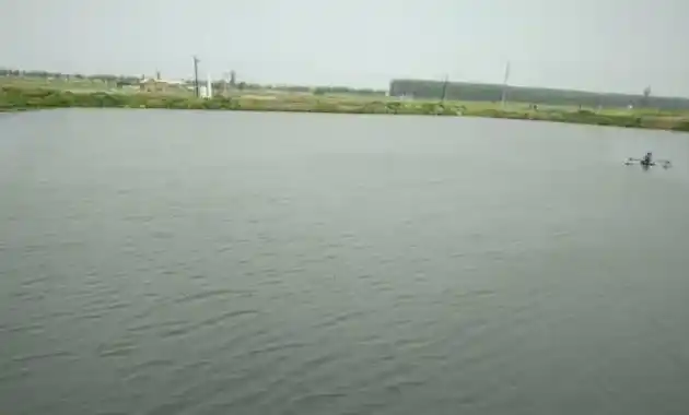 成功处理由用药不当引起的水质突变、鱼不吃食