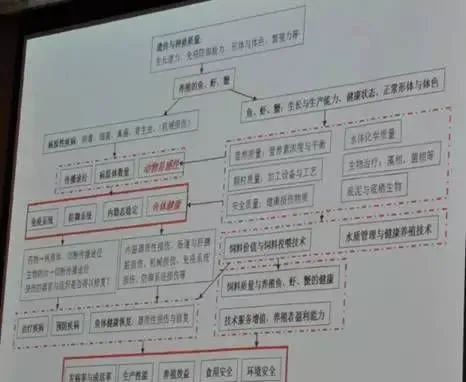 叶元土：一概而论“不科学”，影响鱼粉质量的究竟是什么？