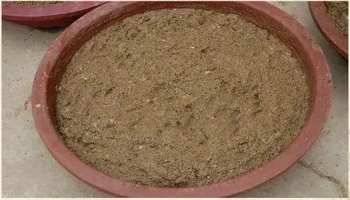 黄鳝网箱养殖技术要点之驯食