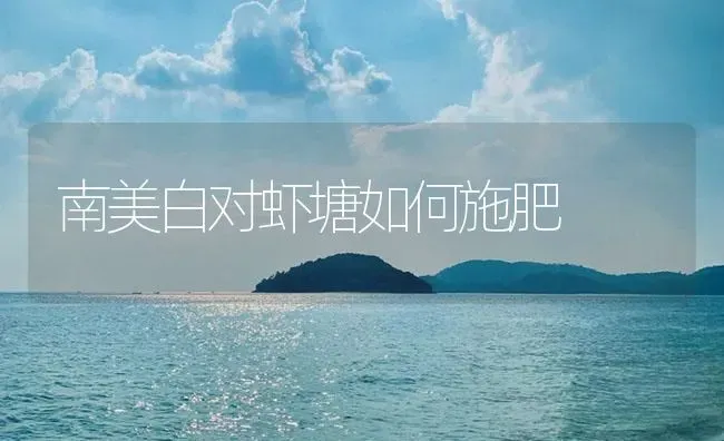 南美白对虾塘如何施肥 | 海水养殖