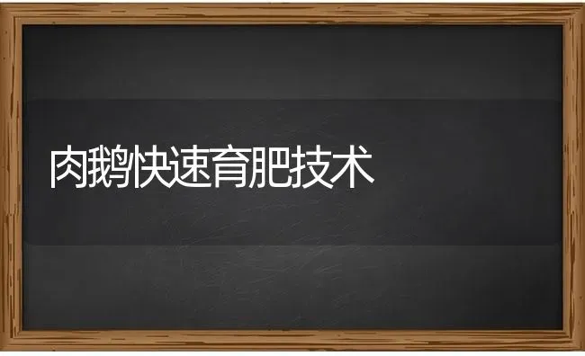 肉鹅快速育肥技术 | 家禽养殖