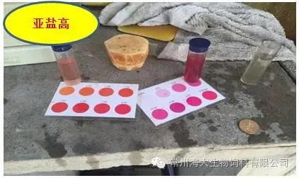 9月份是鱼儿的生长黄金季，你准备好了吗？