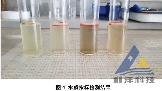 [每周一例]盐度差过高导致花鲢进塘死亡