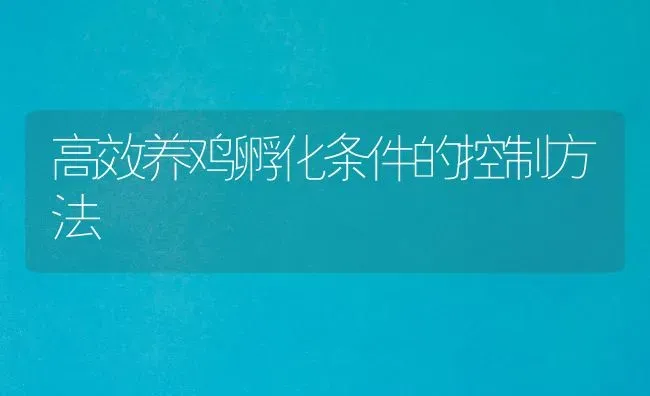 高效养鸡孵化条件的控制方法 | 家禽养殖