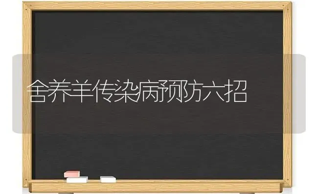 舍养羊传染病预防六招 | 家畜养殖