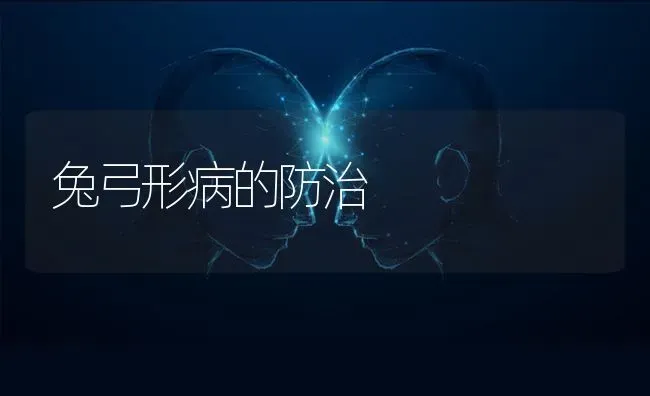 兔弓形病的防治 | 家畜养殖