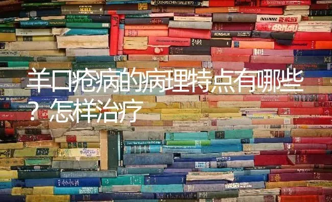 羊口疮病的病理特点有哪些？怎样治疗 | 家畜养殖