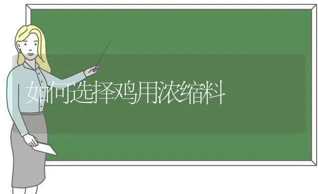 如何选择鸡用浓缩料 | 家禽养殖