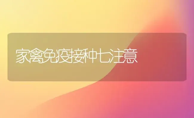 家禽免疫接种七注意 | 家禽养殖