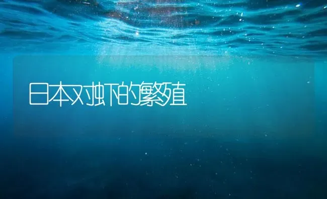 日本对虾的繁殖 | 海水养殖