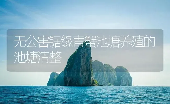 无公害锯缘青蟹池塘养殖的池塘清整 | 海水养殖