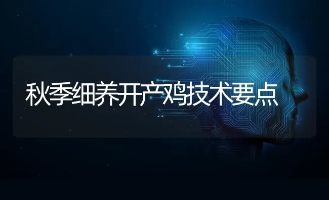 秋季细养开产鸡技术要点 | 家禽养殖