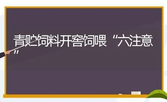 青贮饲料开窖饲喂“六注意” | 动物养殖饲料