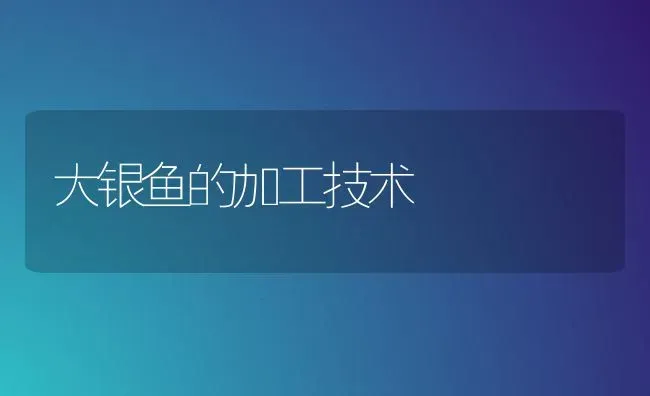 大银鱼的加工技术 | 淡水养殖