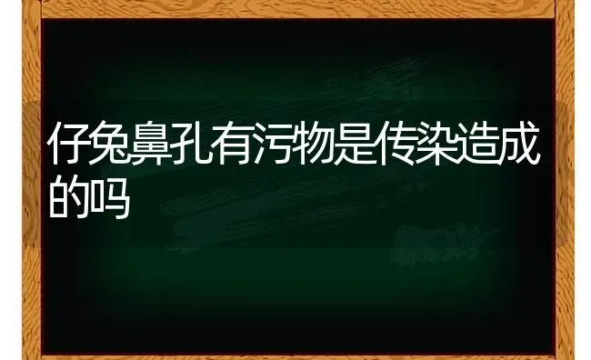 仔兔鼻孔有污物是传染造成的吗 | 家畜养殖