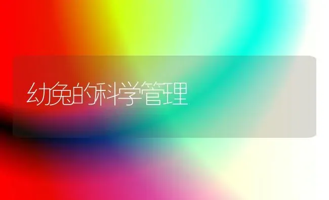 幼兔的科学管理 | 家畜养殖