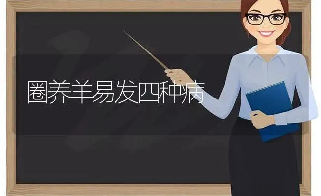 圈养羊易发四种病 | 家畜养殖