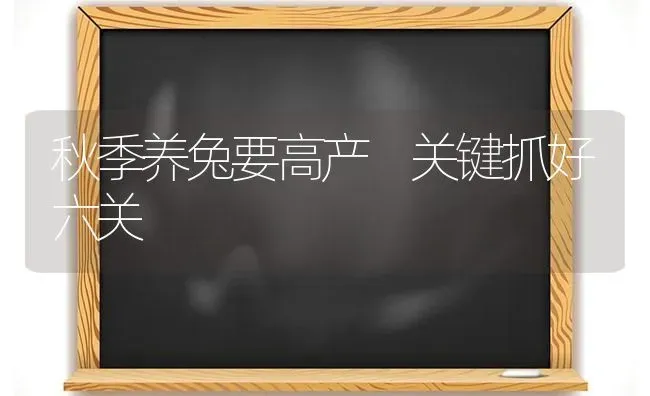 秋季养兔要高产 关键抓好六关 | 家畜养殖