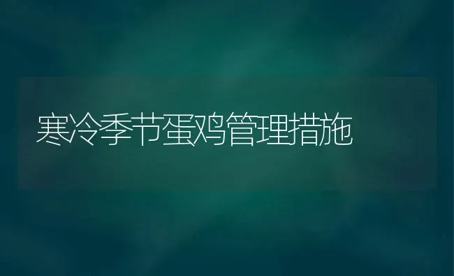 寒冷季节蛋鸡管理措施 | 家禽养殖