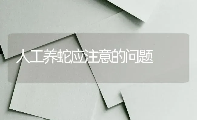 人工养蛇应注意的问题 | 特种养殖