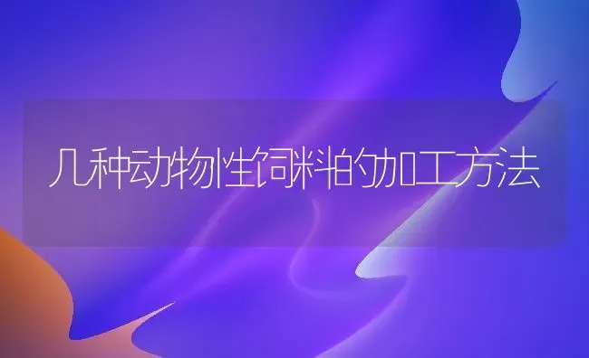 几种动物性饲料的加工方法 | 动物养殖饲料