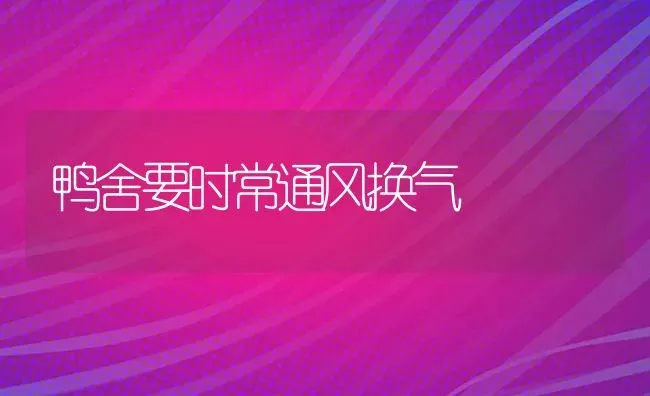 鸭舍要时常通风换气 | 家禽养殖