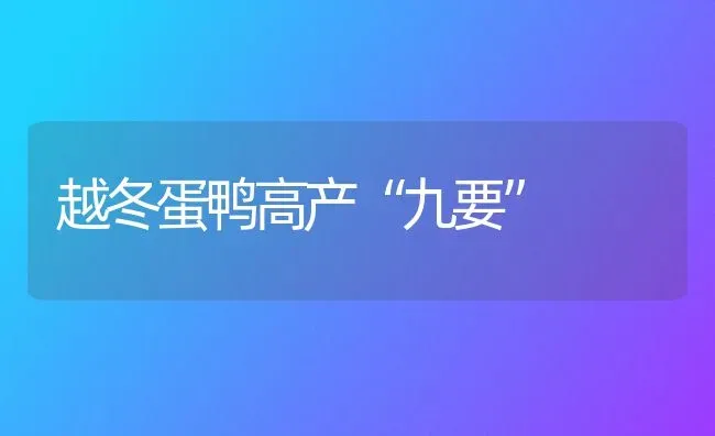 越冬蛋鸭高产“九要” | 家禽养殖