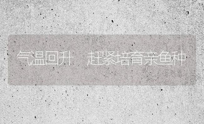 气温回升 赶紧培育亲鱼种 | 淡水养殖