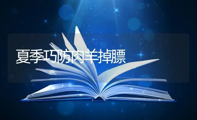 夏季巧防肉羊掉膘 | 家畜养殖