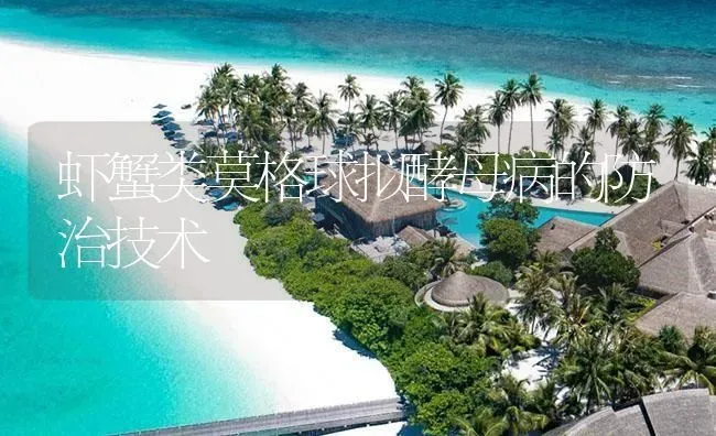 虾蟹类莫格球拟酵母病的防治技术 | 养殖病虫害防治