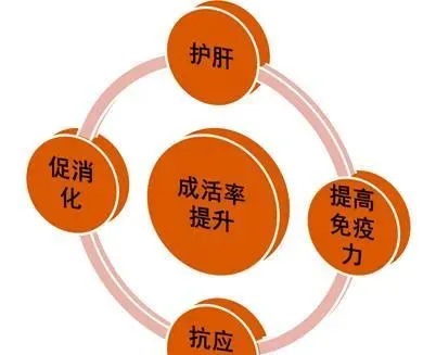 南美白对虾小温棚秋季放苗注意事项