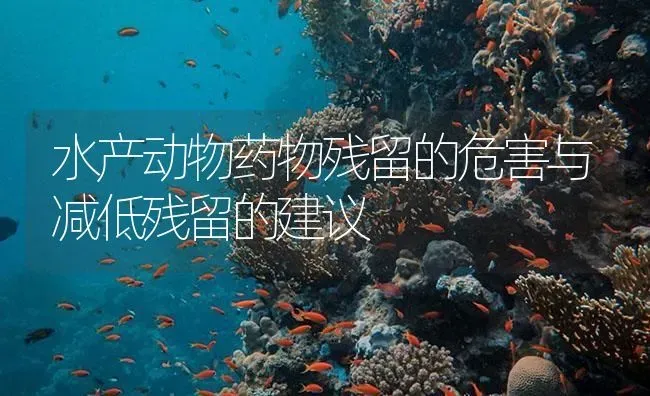 水产动物药物残留的危害与减低残留的建议 | 养殖病虫害防治