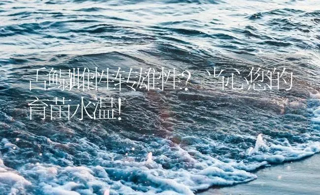 舌鳎雌性转雄性？当心您的育苗水温！ | 淡水养殖