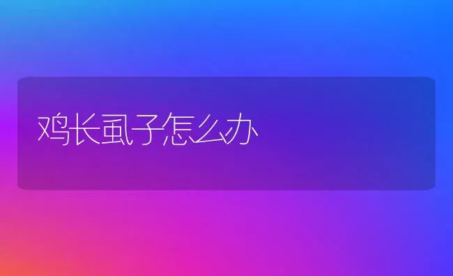 鸡长虱子怎么办 | 家禽养殖