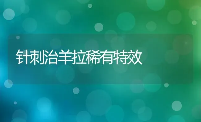 针刺治羊拉稀有特效 | 家畜养殖