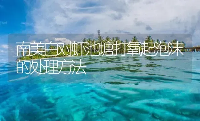 南美白对虾池塘打氧起泡沫的处理方法 | 海水养殖