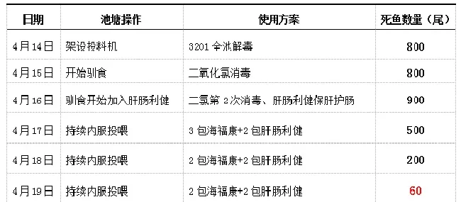 为您支招！面对来势汹汹的鱼病，该这样治疗