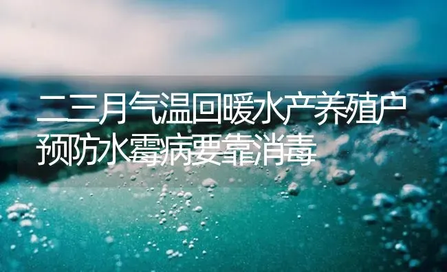 二三月气温回暖水产养殖户预防水霉病要靠消毒 | 养殖病虫害防治