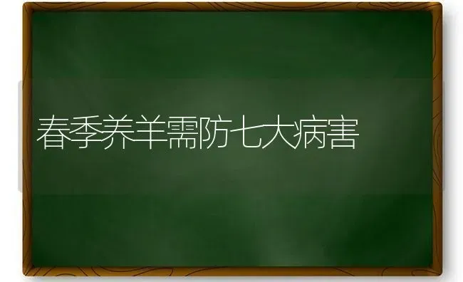 春季养羊需防七大病害 | 家畜养殖