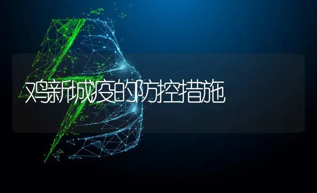鸡新城疫的防控措施 | 家禽养殖