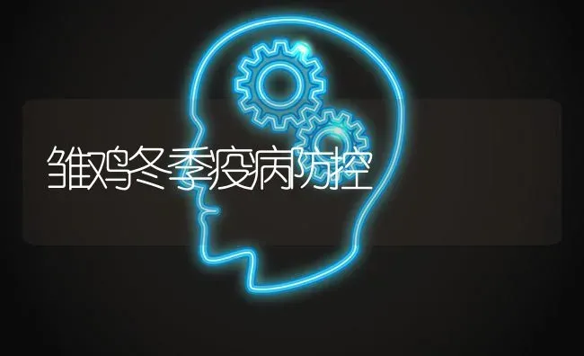 雏鸡冬季疫病防控 | 家禽养殖