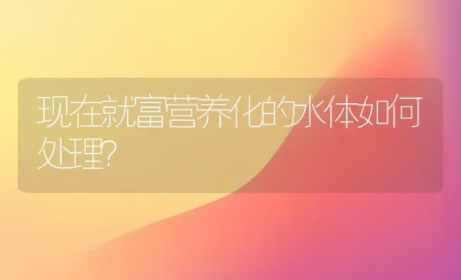现在就富营养化的水体如何处理？ | 动物养殖百科