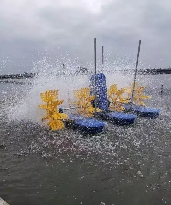 你忽视的溶解氧正在一步步毁掉你的池塘