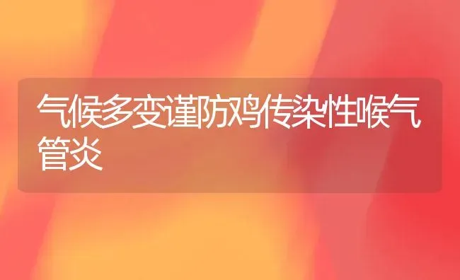 气候多变谨防鸡传染性喉气管炎 | 家禽养殖